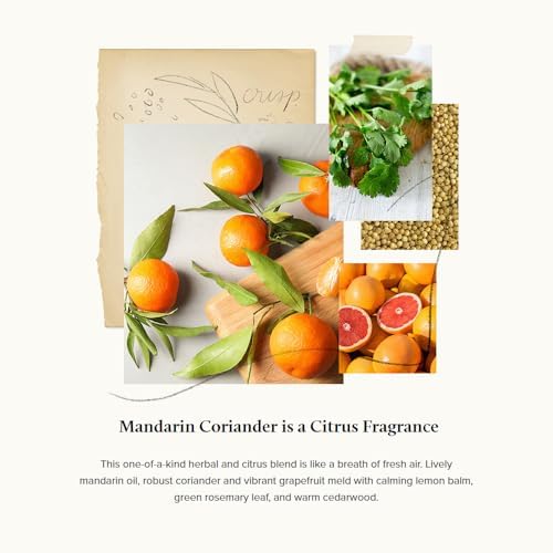 Thymes Countertop Spray Mandarin Coriander 165 Fl Oz