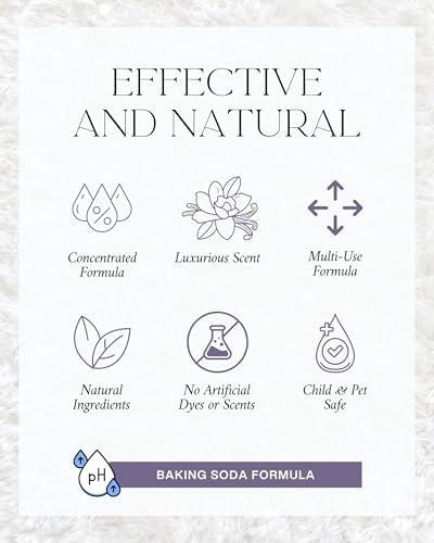 The Diamond Life Home Refresh Sea Mist Carpet Deodorizer Powder 2-Pack 16 oz