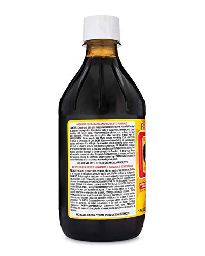 REX Creolina Multi Purpose Cleaner Concentrate 1 Pack 1