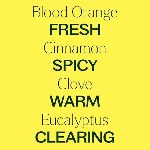 Plant Therapy Germ Fighter Carpet Refresher 16 oz Natural 1