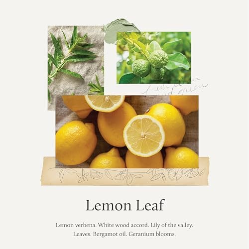 Thymes Countertop Cleaner Spray with Lemon Leaf Fragrance