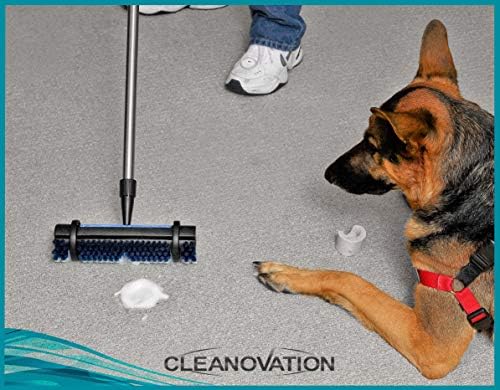 Cleanovation Rug Renovator Cleaning Brush 1
