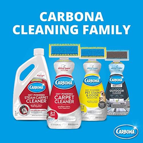 Carbona Pro Care Oxy Powered Outdoor Cleaner 22 Fl Oz 2 Pack 1