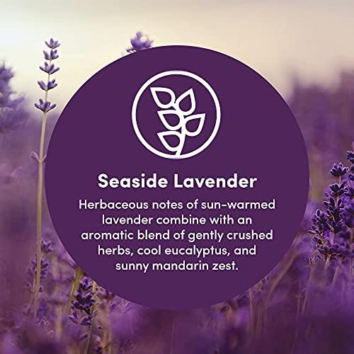 Clean Revolution Multi Surface Cleaner Refill 1 Gallon Non-Toxic Eco-Friendly Plant-Based