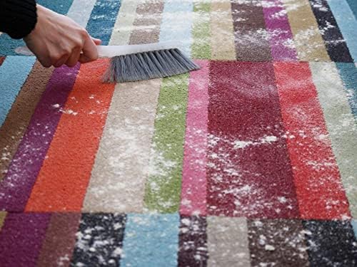 Capture Carpet Rug Dry Cleaner Powder for Pets - 1 lb