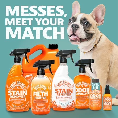 ANGRY ORANGE Foaming Carpet Cleaner - 24 oz Value Pack