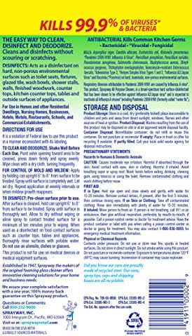 Sprayway SW5002R All Purpose Cleaner with Foaming Action