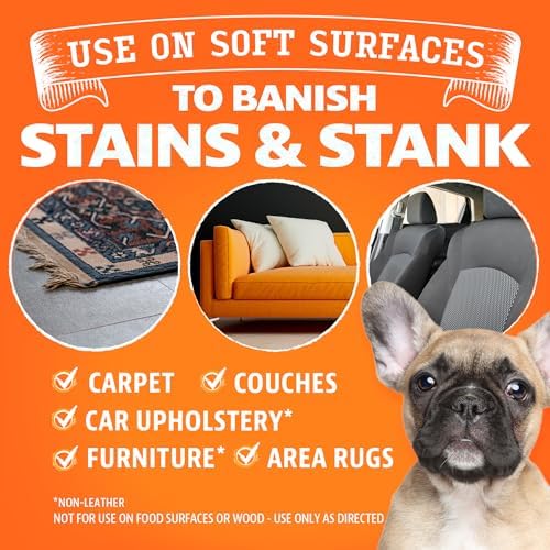 ANGRY ORANGE Foaming Carpet Cleaner - 24 oz Value Pack