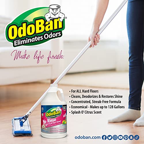 OdoBan Pet Solutions Floor Cleaner Stain Remover Set