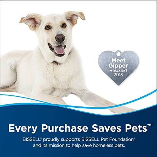 Bissell Professional Spot and Stain Oxy Portable 2-Pack