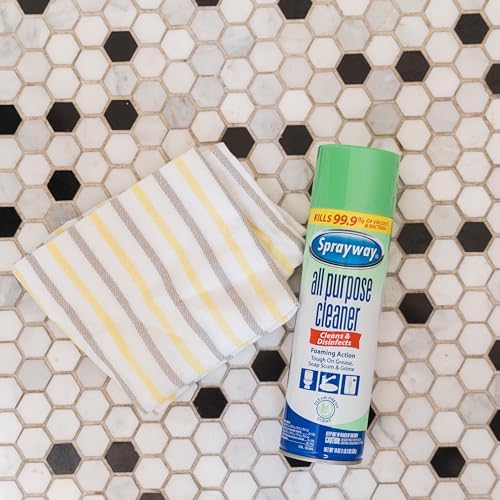 Sprayway SW5002R All Purpose Cleaner with Foaming Action