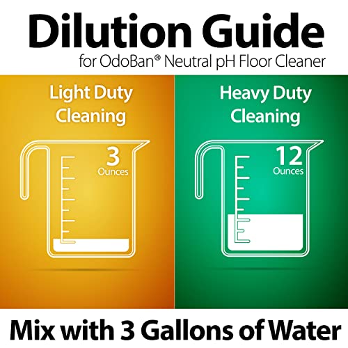 OdoBan Pet Solutions Floor Cleaner Stain Remover Set