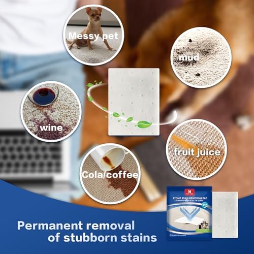 Home Times Carpet Cleaning Wet Wipes 20 Count