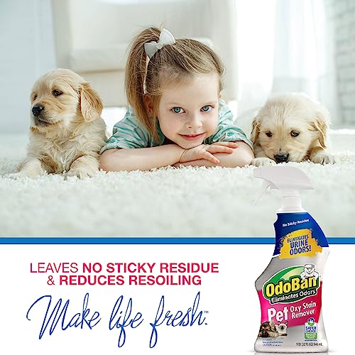 OdoBan Pet Solutions Floor Cleaner Stain Remover Set