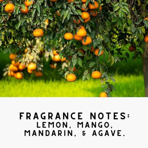 The Diamond Life Home Citrus Deodorizer Powder