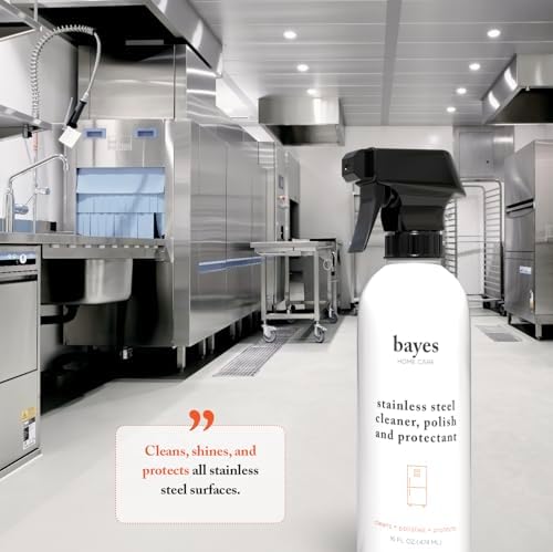 Bayes Stainless Steel Cleaner Spray 16oz