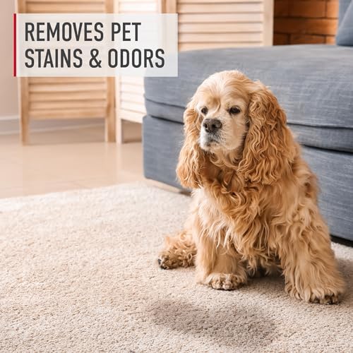 Hoover Pure Essentials Spot Stain Remover 22 Oz 2 Pack