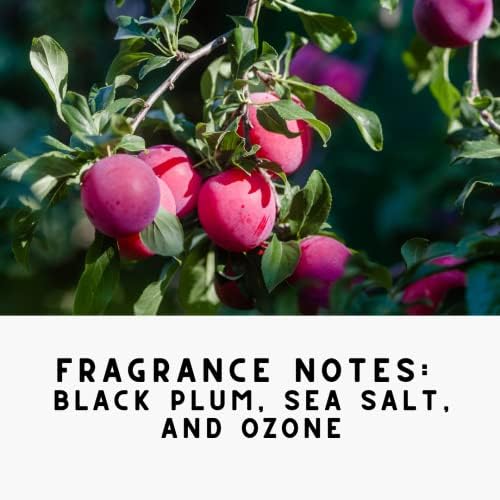 The Diamond Life Noir Luxe Carpet Powder Candle Bundle 1