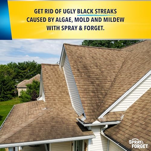 Spray Forget 1-Gallon Roof Cleaner Concentrate
