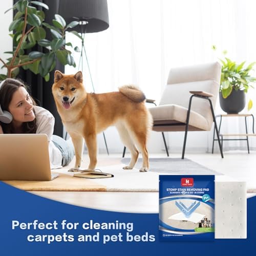 Home Times Carpet Cleaning Wet Wipes 20 Count