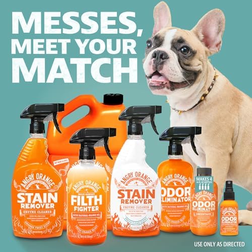 ANGRY ORANGE Spray and Go Floor Cleaner - Citrus Mint 2 Pack
