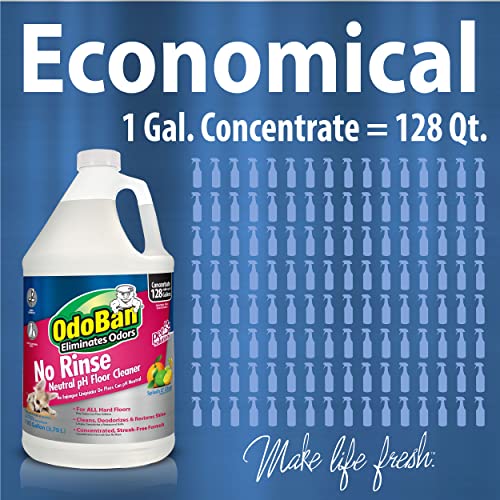 OdoBan Pet Solutions Floor Cleaner Stain Remover Set