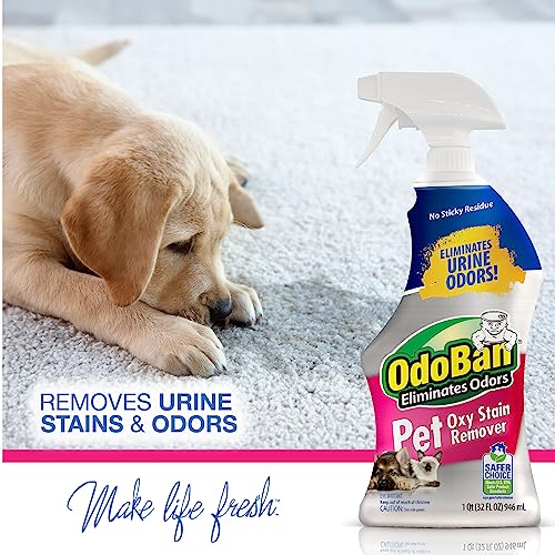 OdoBan Pet Solutions Floor Cleaner Stain Remover Set