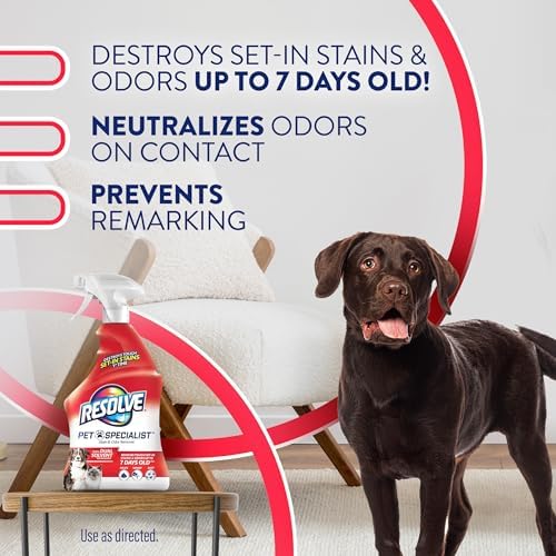 Resolve Pet Specialist Stain Odor Remover 22Fl Oz
