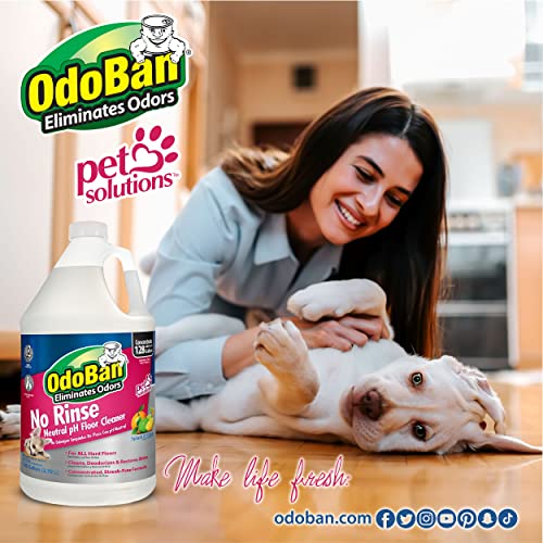 OdoBan Pet Solutions No Rinse Floor Cleaner 3 Gallons Splash O Citrus Scent