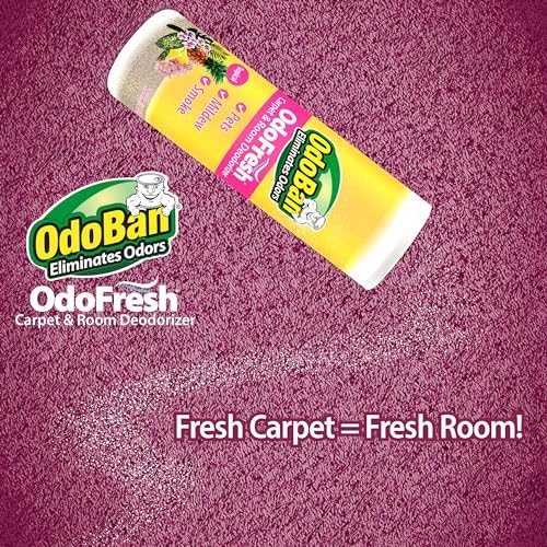 OdoBan OdoFresh Carpet Deodorizer Powder 2 Pounds