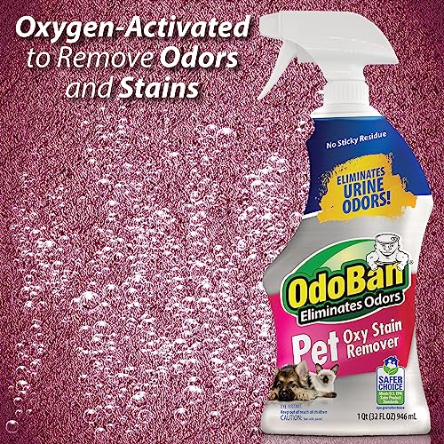 OdoBan Pet Solutions Floor Cleaner Stain Remover Set