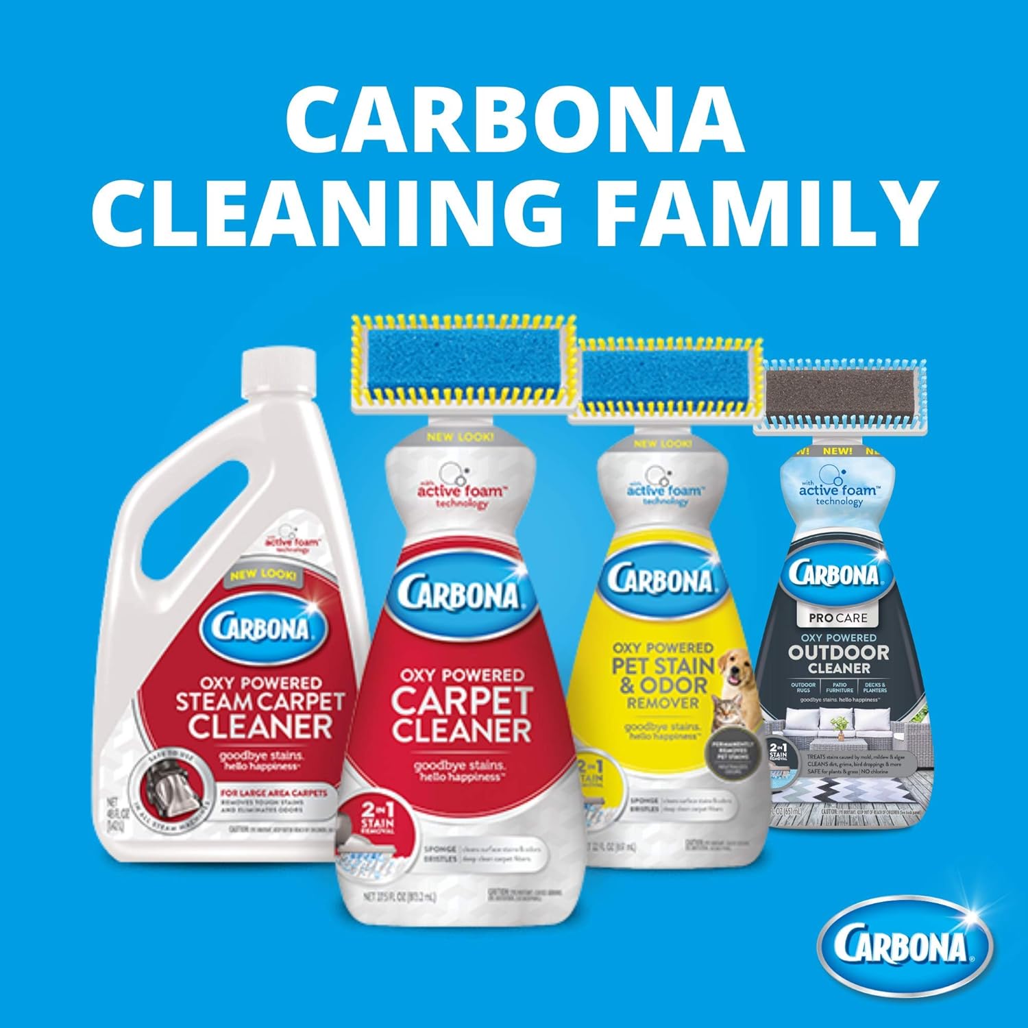 Carbona Pro Care Oxy Powered Outdoor Cleaner 22 Fl Oz 2 Pack 1