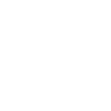 Tech Innovations Inc.
